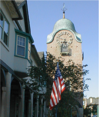 Image1